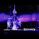 Equestrian spectacular, Cavalia Odysseo, is sure to delight many in Scottsdale for the Holidays!
