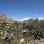 Troon Village Homes For Sale Report – March 2013