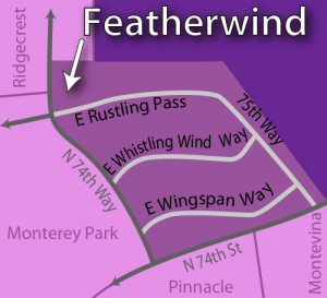 Featherwind Grayhawk