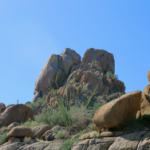 Top 10 Reasons to Live in Scottsdale