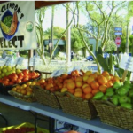 My Ultimate Search for the perfect Farmer’s Market