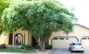 Glendale Home For Sale