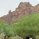 Paradise Valley Seeks Residents For Volunteer Opportunities