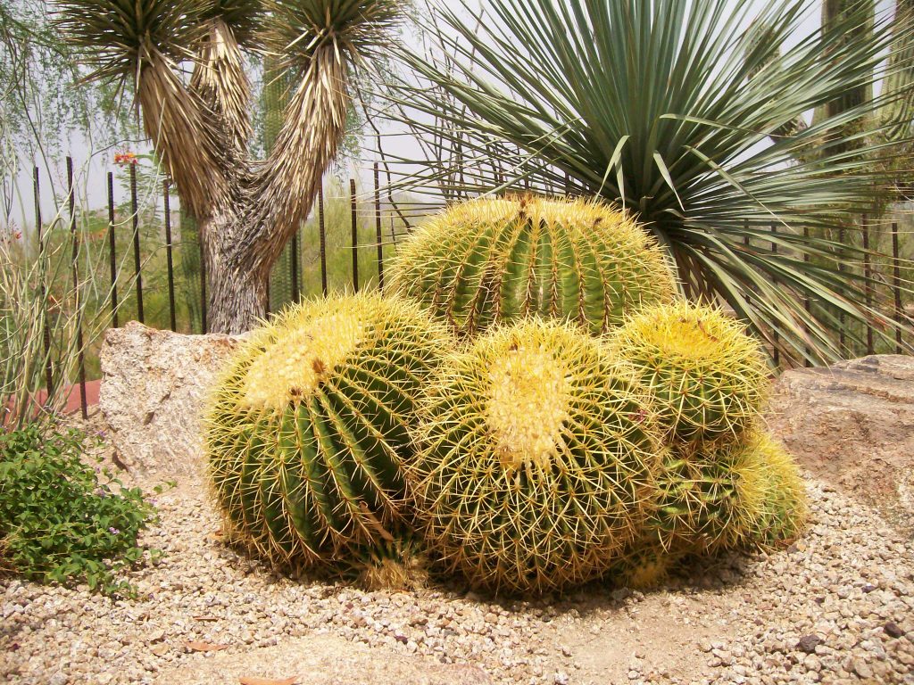 Wow! Great Food at Flemings Steakhouse and Wine Bar DC Ranch •