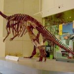 Houses are not Museums