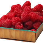 Scottsdale Youth Cooking Class