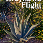 Grayhawk Flight – March 2017