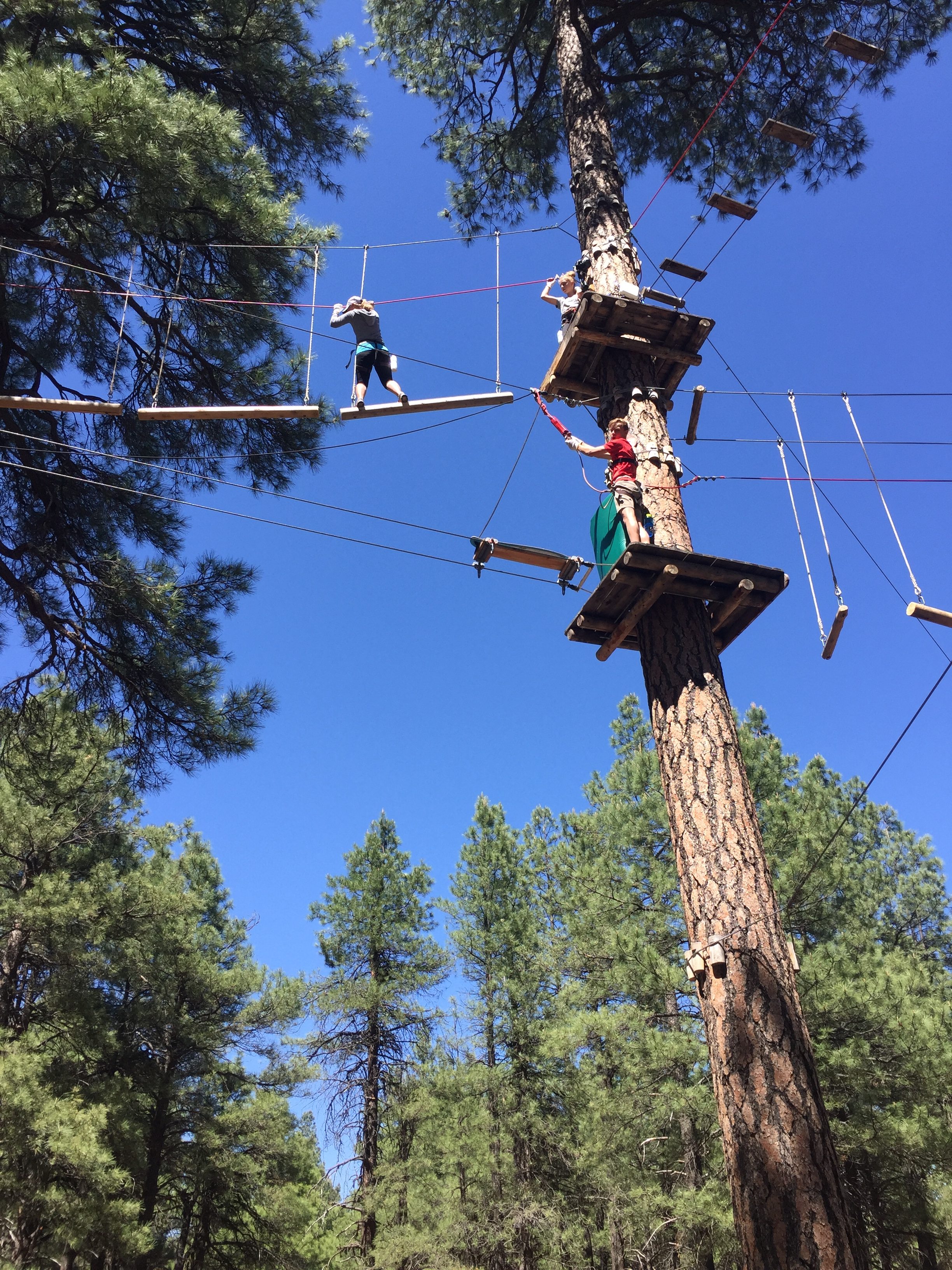 Flagstaff Extreme Explore AZ! •