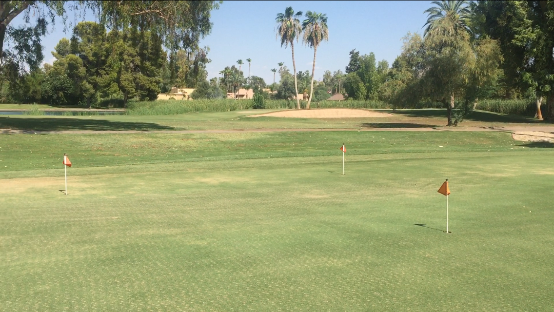 Orange Tree Golf Club • Sibbach com