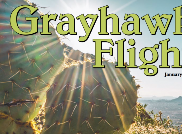 grayhawk flight january 2020