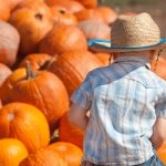 Valley Pumpkin Patches 2021