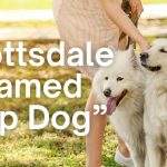Scottsdale is Named “Top Dog”