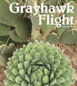 Grayhawk Flight September 2018