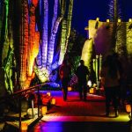 Las Noches de Las Luminarias