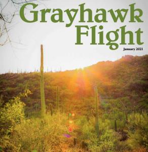 grayhawk flight january 2021