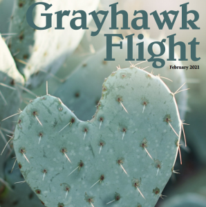 grayhawk flight February 2021