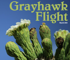 grayhawk flight - march 2021