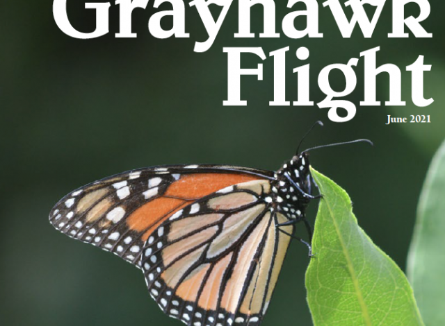 grayhawk flight june 2021