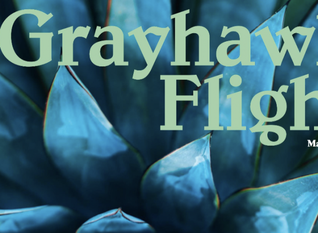 Grayhawk Flight March 2022