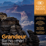 DC Ranch News – February 2023