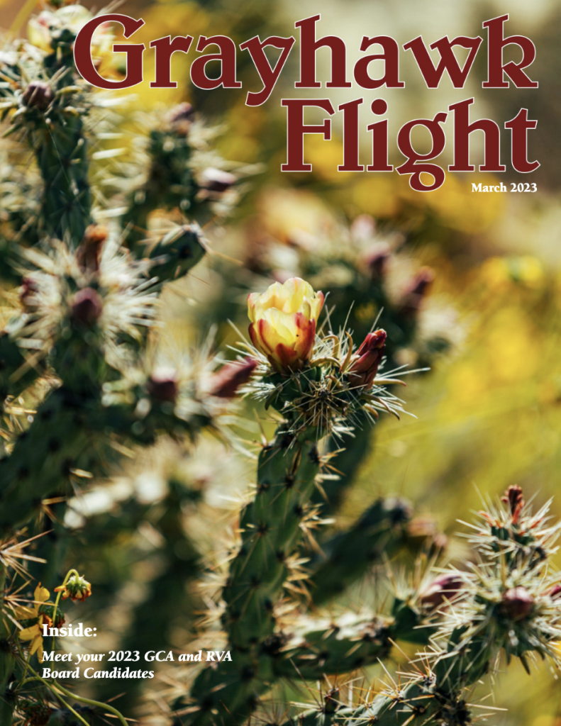 Grayhawk Flight March 2023 •