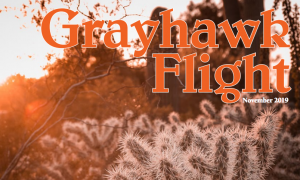 grayhawk flight november 2019